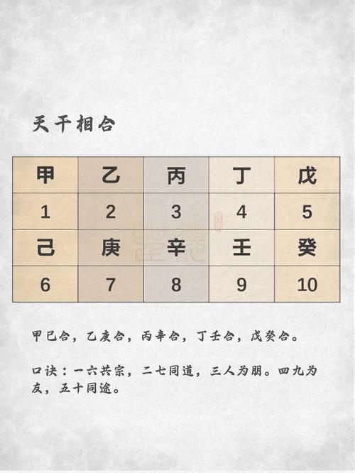 八字中的壬子是什么意思